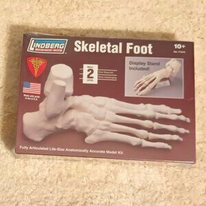 New/Sealed Lindberg Science Skeletal Foot Fully Articulated Life-Size Model Kit